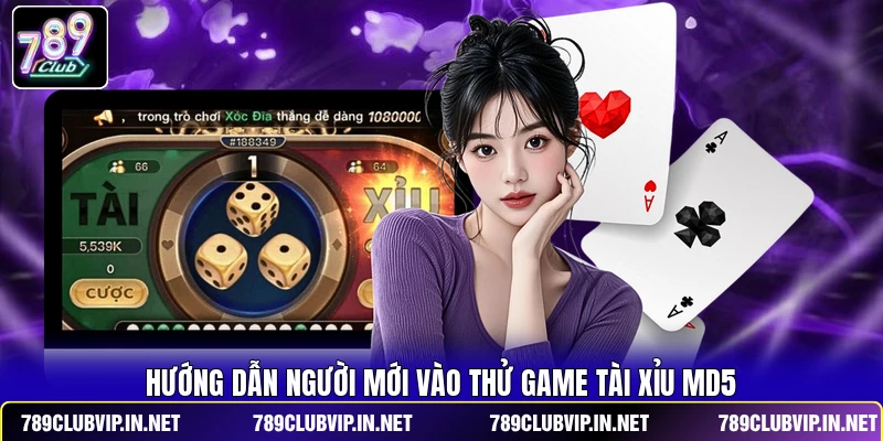 Hướng dẫn người mới vào thử game Tài Xỉu MD5