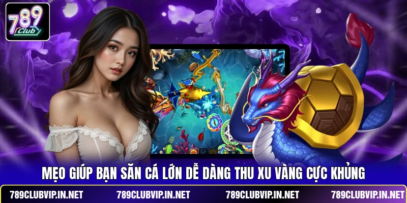 Mẹo giúp bạn săn cá lớn dễ dàng thu xu vàng cực khủng