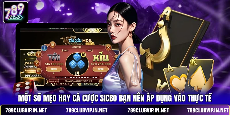Một số mẹo hay cá cược Sicbo bạn nên áp dụng vào thực tế